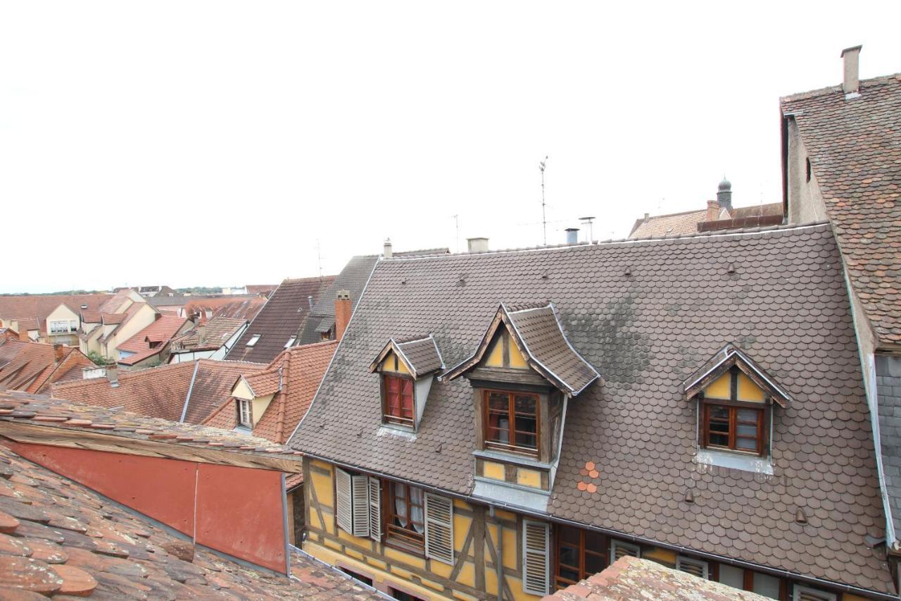 Colmar City Center - Appartement Petit Ours - Bookingalsace Bagian luar foto